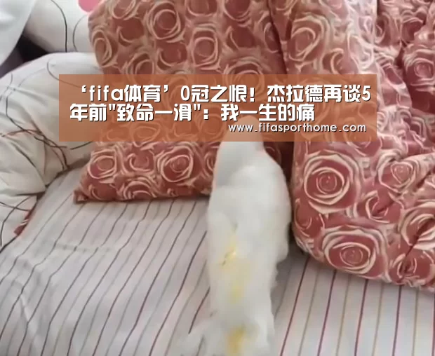世界杯比赛