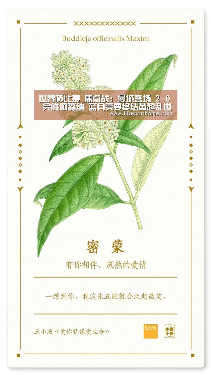 世界杯比赛_焦点战:曼城客场 2-0 完胜阿森纳 蓝月亮要终结英超乱世?(图3) fifa体育