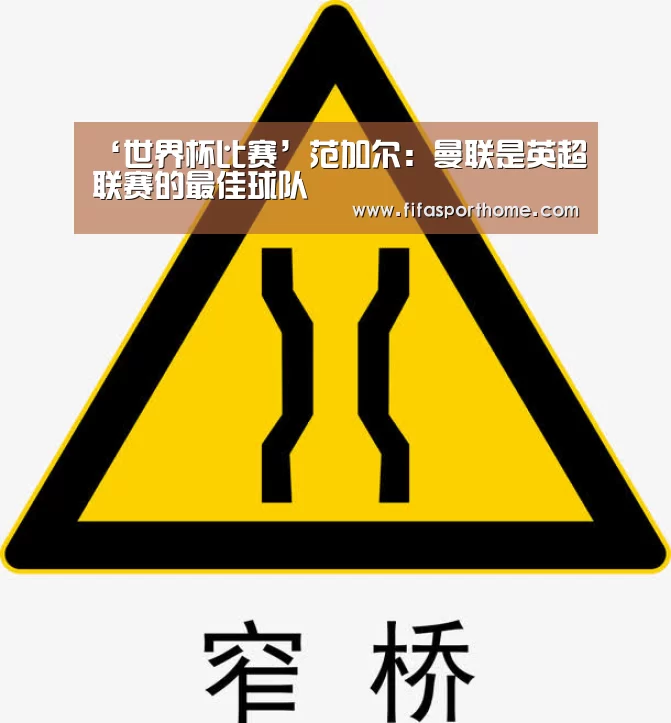 ‘世界杯比赛’范加尔:曼联是英超联赛的最佳球队(图4) 世界杯比赛