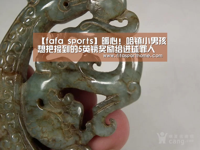 【fafa sports】暖心!哈镇小男孩想把捡到的5英镑奖励给进球罪人阿隆-穆伊(图1) fifa体育