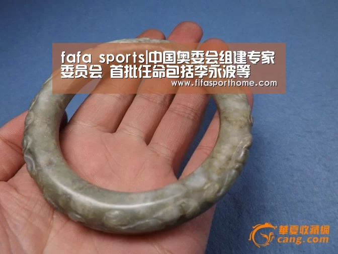 fafa sports|中国奥委会组建专家委员会 首批任命包括李永波等(图2) 世界杯比赛